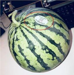 网红吃瓜qq最新,揭秘娱乐圈最新热点事件