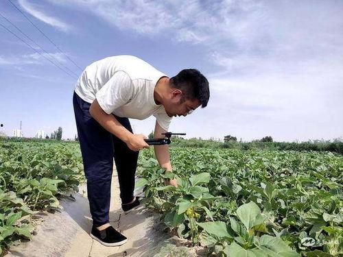 陕西网红吃瓜,揭秘网络热点的背后真相