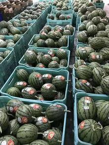 吃瓜网每日吃瓜聚集地