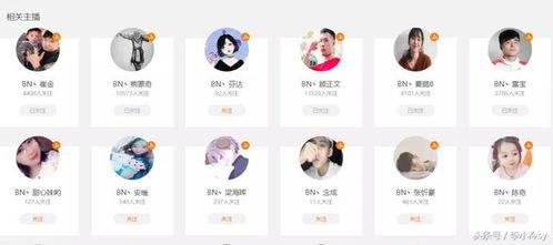 吃瓜qq群网红黑料小说,揭秘吃瓜QQ群网红黑料风云