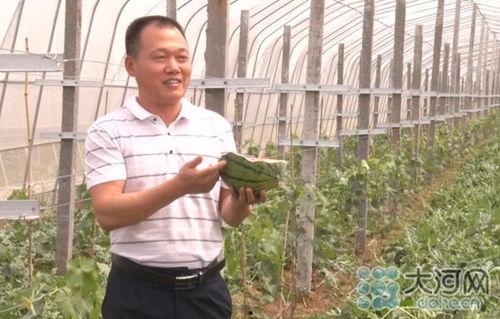 吃瓜网山东村书记,吃瓜群众眼中的基层风云人物