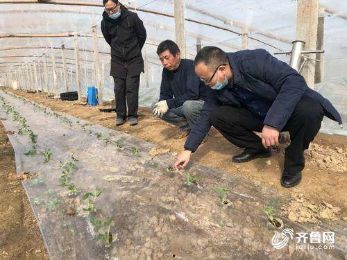 吃瓜网山东村书记,吃瓜群众眼中的基层风云人物