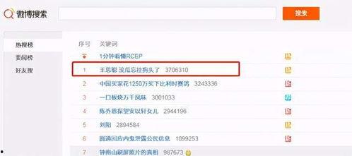 吃瓜网红的网站叫什么了,吃瓜网红网站新名字背后的故事
