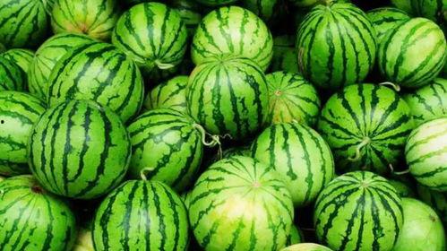 网暴吃瓜网,网暴吃瓜网，谁在操纵舆论？