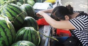 网红的吃瓜群怎么进的