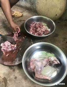 网曝泄密吃瓜事件小炸串,小炸串成吃瓜焦点