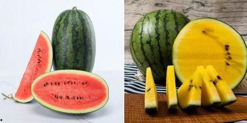 吃瓜网是全球,全球热点事件一网打尽