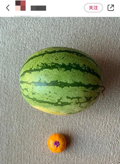 吃瓜网是全球,全球热点事件一网打尽