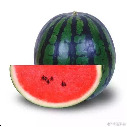 吃瓜51网免费吃瓜,免费畅享海量瓜子的秘密