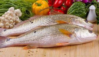 网红鱼小妹吃瓜视频大全,揭秘网红圈幕后故事