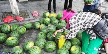 杭州网红打架吃瓜,网络热传的“吃瓜”瞬间