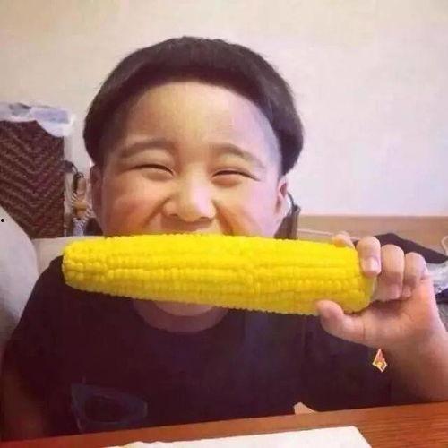 网红吃瓜搞笑头像男,趣味横生的网络潮流