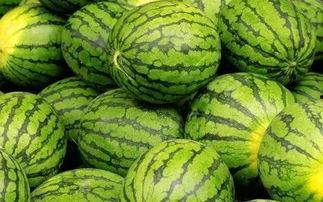 网红每日吃瓜大赛,瓜界风云再起，谁将笑到最后？