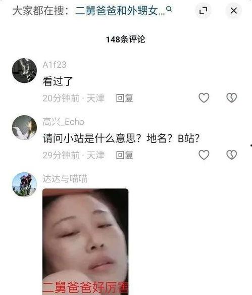 吃瓜网官网二舅爸爸,吃瓜网独家揭秘，带你走进神秘家庭生活