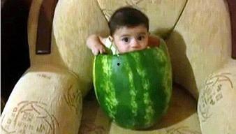 网红视频吃瓜藏族,吃瓜藏族背后的文化魅力