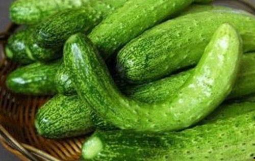 网课吃瓜楚洵,楚洵的瓜田奇遇记