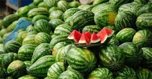 四个字网红吃瓜网名,揭秘网络热点背后的故事