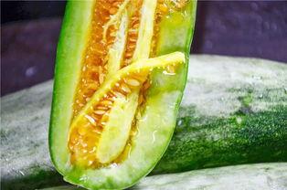 网红吃瓜网站,娱乐圈幕后真相大曝光