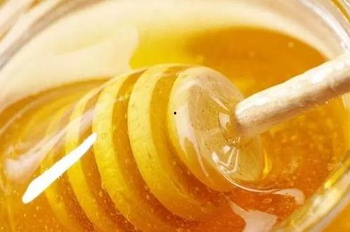 各种网红吃瓜吃蜂蜜块,蜂蜜块吃瓜，甜蜜瓜趣一网打尽