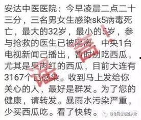 只吃瓜不造谣的网红,揭秘“只吃瓜不造谣”网红的神秘魅力