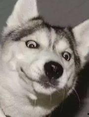 网红情侣吵架吃瓜图片高清,高清吃瓜图揭秘甜蜜背后的真相