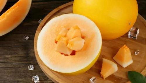 速看天气吃瓜网,揭秘天气与吃瓜的奇妙关系