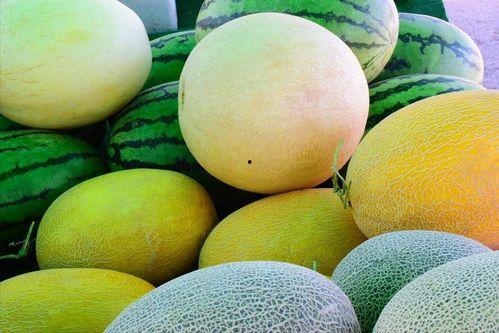 吃瓜群最新官网地址