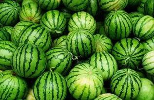 吃瓜群最新官网地址