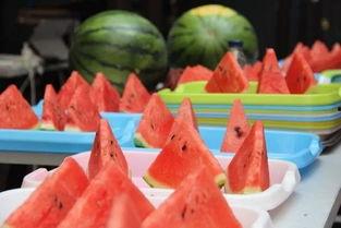 意大利吃瓜网,揭秘意大利美食背后的故事与趣闻