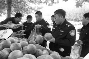 安新吃瓜网红事件最新,揭秘网络舆论背后的真相与争议