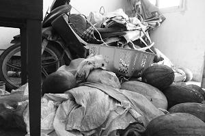 吃瓜最新事件河南新闻网,揭秘吃瓜群众热议的最新事件内幕