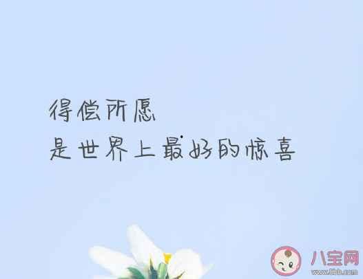 网红吃瓜感言文案短句子,短句背后的热议焦点