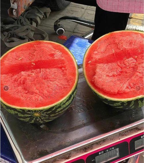 名师工作室吃瓜网,揭秘吃瓜网背后的精彩故事