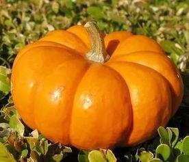 番瓜吃瓜网,揭秘娱乐圈幕后故事，带你走进明星真实生活