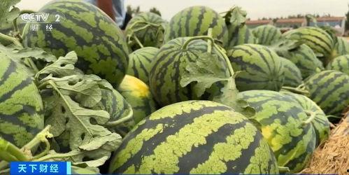 网红最全吃瓜合集网站,一网打尽热门事件合集