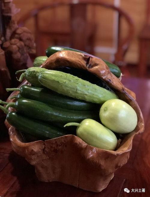 广西吃瓜网红是谁啊,揭秘网络红人的魅力与影响力”