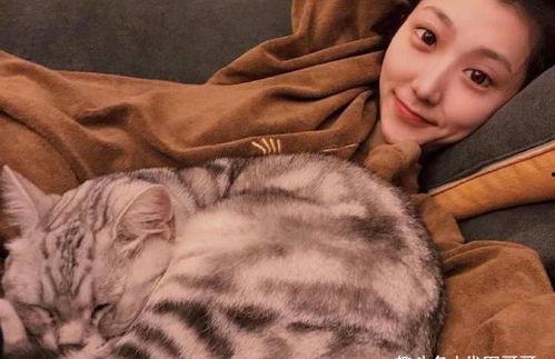 娱乐吃瓜君网红虐猫,娱乐吃瓜君引发社会热议