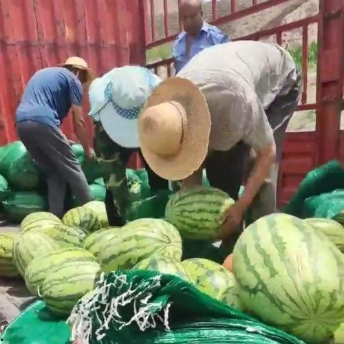 江苏网红吃瓜事件最新,揭秘背后真相与网络暴力漩涡