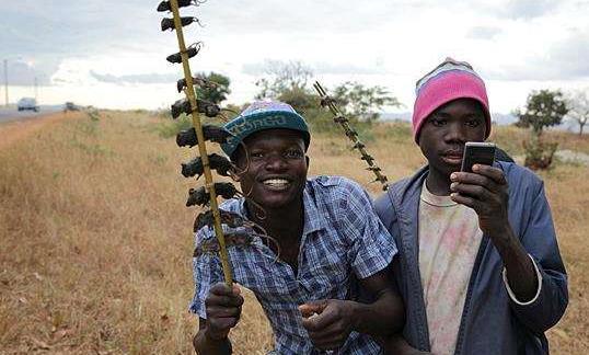 非洲网红吃瓜视频大全免费观看,免费观看，笑料横生！  第3张