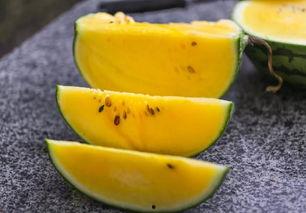 吃瓜杭州网红,揭秘杭州网红的吃瓜日常