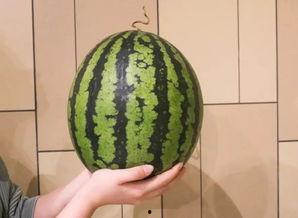 吃瓜杭州网红,揭秘杭州网红的吃瓜日常  第2张