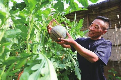 凤凰吃瓜网,揭秘娱乐圈最新热点，带你领略明星幕后故事  第3张