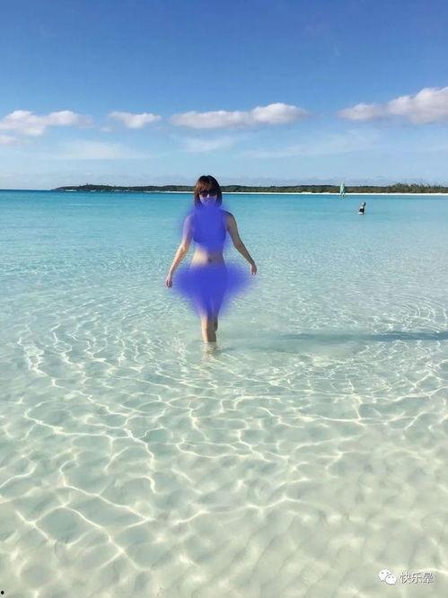 网课吃瓜视频资源,揭秘热门吃瓜视频背后的教育资源  第3张