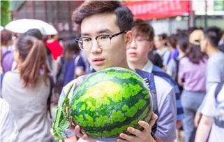 吃瓜网燕山大学  第2张