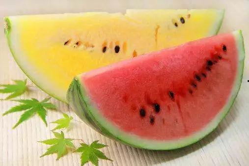 除了吃瓜网还有什么,除了吃瓜网，还有哪些热门资讯平台等你探索  第2张