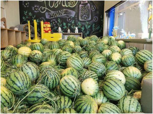 今日吃瓜网官网,揭秘娱乐圈最新热点，带你畅游八卦海洋  第3张