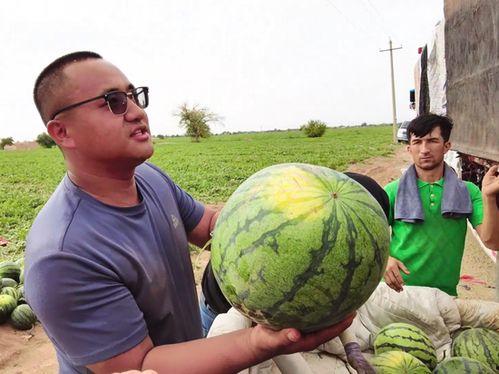 奇闻百科吃瓜新闻网,揭秘吃瓜新闻网背后的惊人真相  第2张