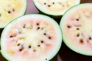 莒县网红吃瓜事件真相是真的吗,真相揭秘，还原事件始末  第1张