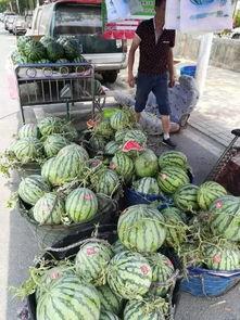 莒县网红吃瓜事件真相是真的吗,真相揭秘，还原事件始末  第2张