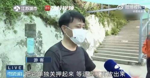 网红皮卡邱吃瓜视频  第2张